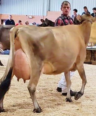Next Generation of Dairy